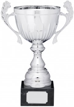 13.75inch SILVER CUP TROPHY