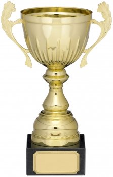 7.5inch GOLD CUP TROPHY