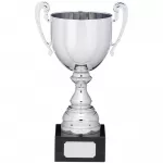 9.75" PRESENTATION CUP