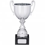 9.75" PRESENTATION CUP