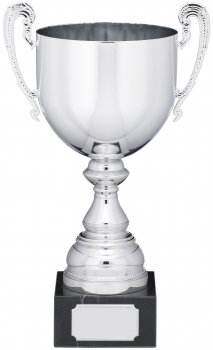 13Inch PRESENTATION CUP