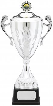 13.75Inch LIDDED PRESENTATION CUP