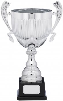 14.75inch PRESENTATION CUP