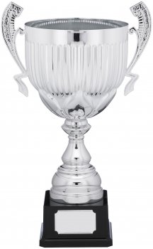 16Inch PRESENTATION CUP