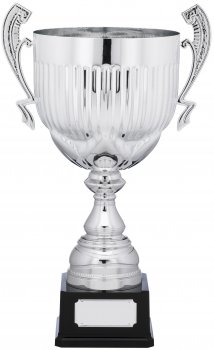 19.5inch PRESENTATION CUP