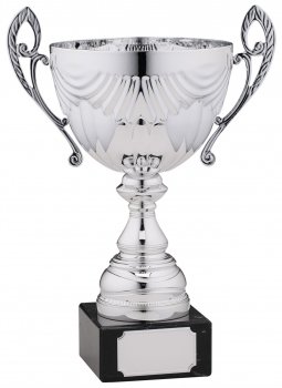 8.5inch SILVER CUP TROPHY T/164