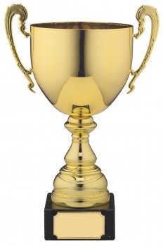 9.75Inch PRESENTATION CUP GOLD T/163