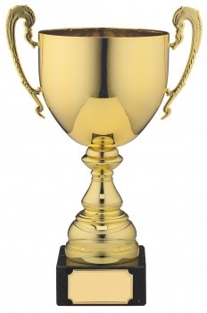 14.5inch PRESENTATION CUP GOLD T/163