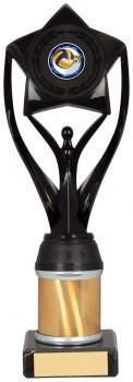 10Inch BLACK/GOLD TUBE TROPHY S134B