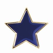 BLUE STAR ENAMEL BADGE