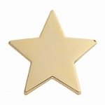 GOLD STAR ENAMEL BADGE