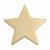 GOLD STAR ENAMEL BADGE