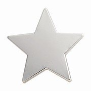 SILVER STAR ENAMEL BADGE