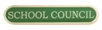 GREEN SCHOOL COUNCIL ENAMEL