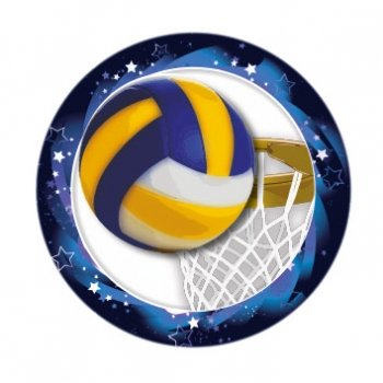 NETBALL 1InchVINYL CENTRE