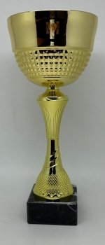 12.5inch GOLD TROPHY