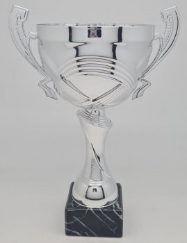 11.5inch SILVER CUP WITH HANDLES