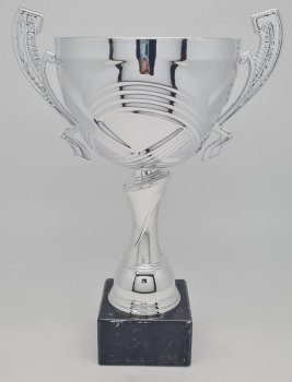 12.5inch SILVER CUP WITH HANDLES