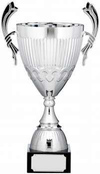 19.5inch CUP TROPHY SILVER C/86