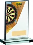 6"DARTS ACRYLIC AWARD