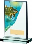 6"FISHING ACRYLIC AWARD