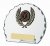 4.75" GLASS ROUND AWARD