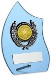 4.75" BLUE GLASS AWARD