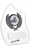 4.75" GLASS AWARD