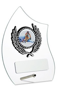 4.75inch GLASS AWARD