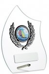 5.5" GLASS AWARD