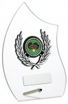 6.75" GLASS AWARD