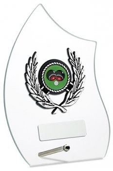 6.75inch GLASS AWARD