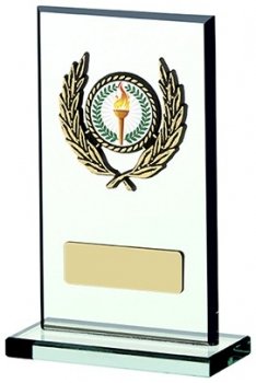 5.25inch GLASS PLAQUE AWARD