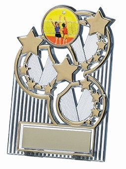 4.25inch GOLD STAR PLAQUE