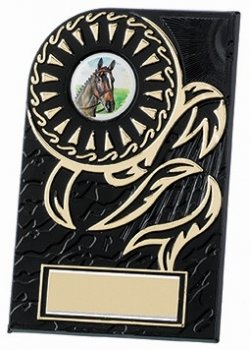 4.75inch ROSETTE PLAQUE