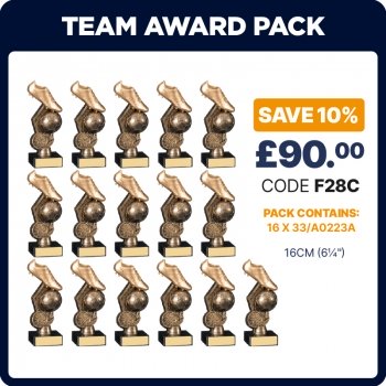 6inch HEX TEAM AWARD PACK