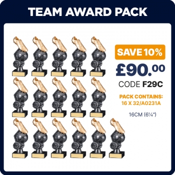 6inch HEX TEAM AWARD PACK