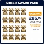 4" FOOTBALL SHIELD AWARD PACK