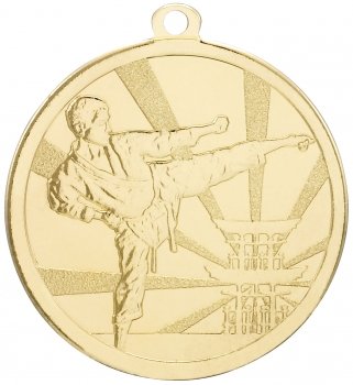 70MM MARTIAL ARTS MEDAL