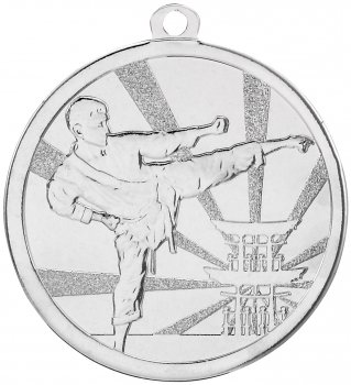 70MM MARTIAL ARTS SILVER MEDAL