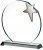 7.5" SILVER STAR ON CLEAR BASE