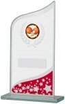 165mm RED CLEAR GLASS AWARD T/      CASE 30