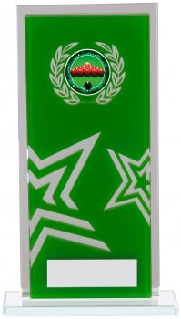170mm GREEN MIRROR GLASS AWARD T/      CASE 30