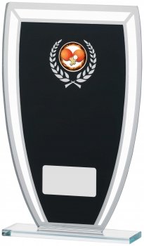 8inchBLACK MIRROR GLASS AWARD
