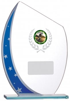 7.25inch BLUE GLASS AWARD