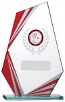6.5" RED CLEAR  GLASS AWARD