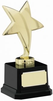 6.5Inch STAR TROPHY