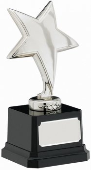 6.5Inch STAR TROPHY