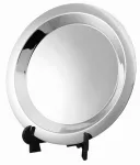 9.5"NICKEL PLATED TRAY