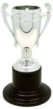 4inch NOVELTY SILVER CUP